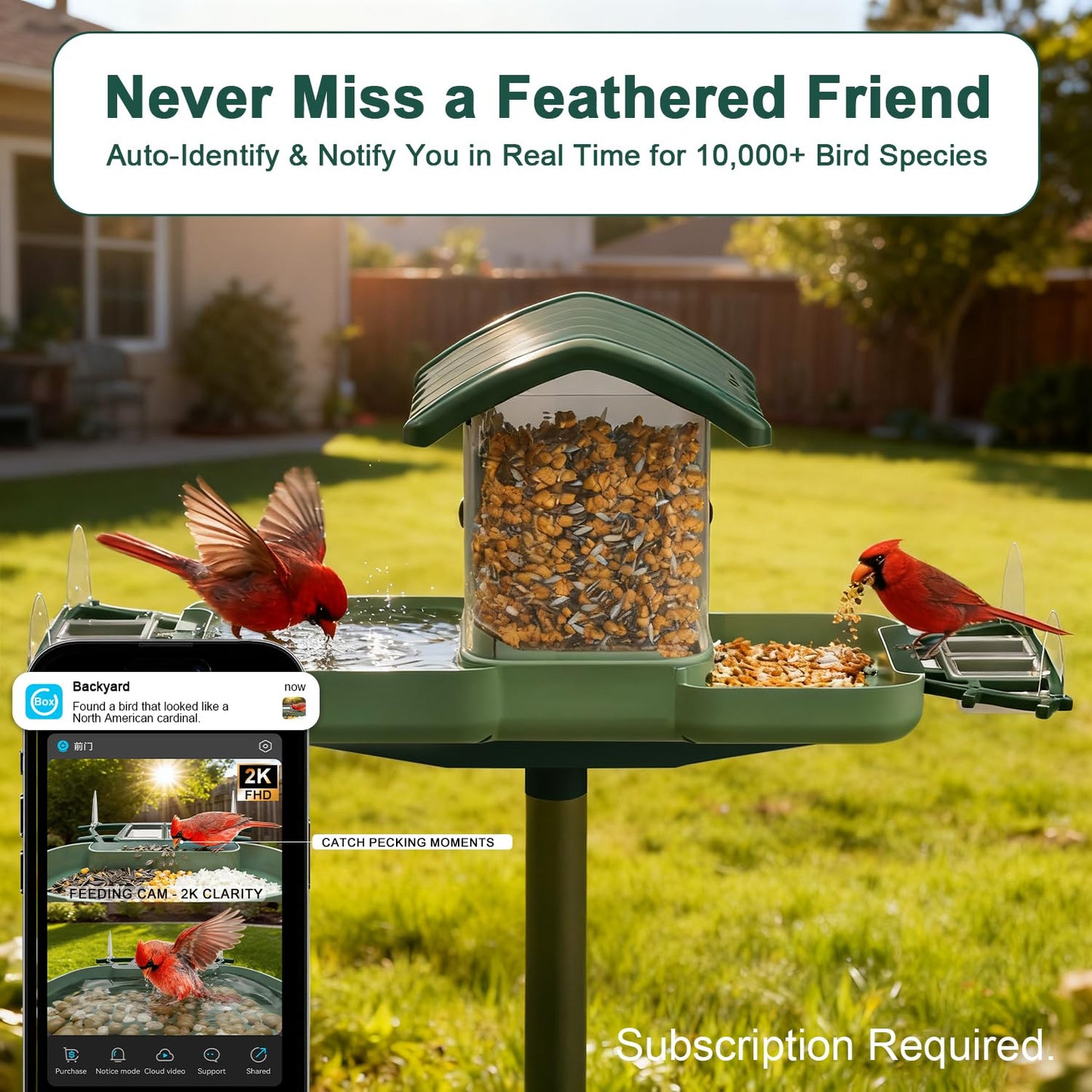 Dual-Lens Smart Bird Feeder with Camera & Bird Bath 2-in-1 Combo, 2K HD Video Real-Time View & Motion Playback, Waterproof, Solar Powered, AI Recognition, Auto Capture, Ideal Gift & Backyard Decor