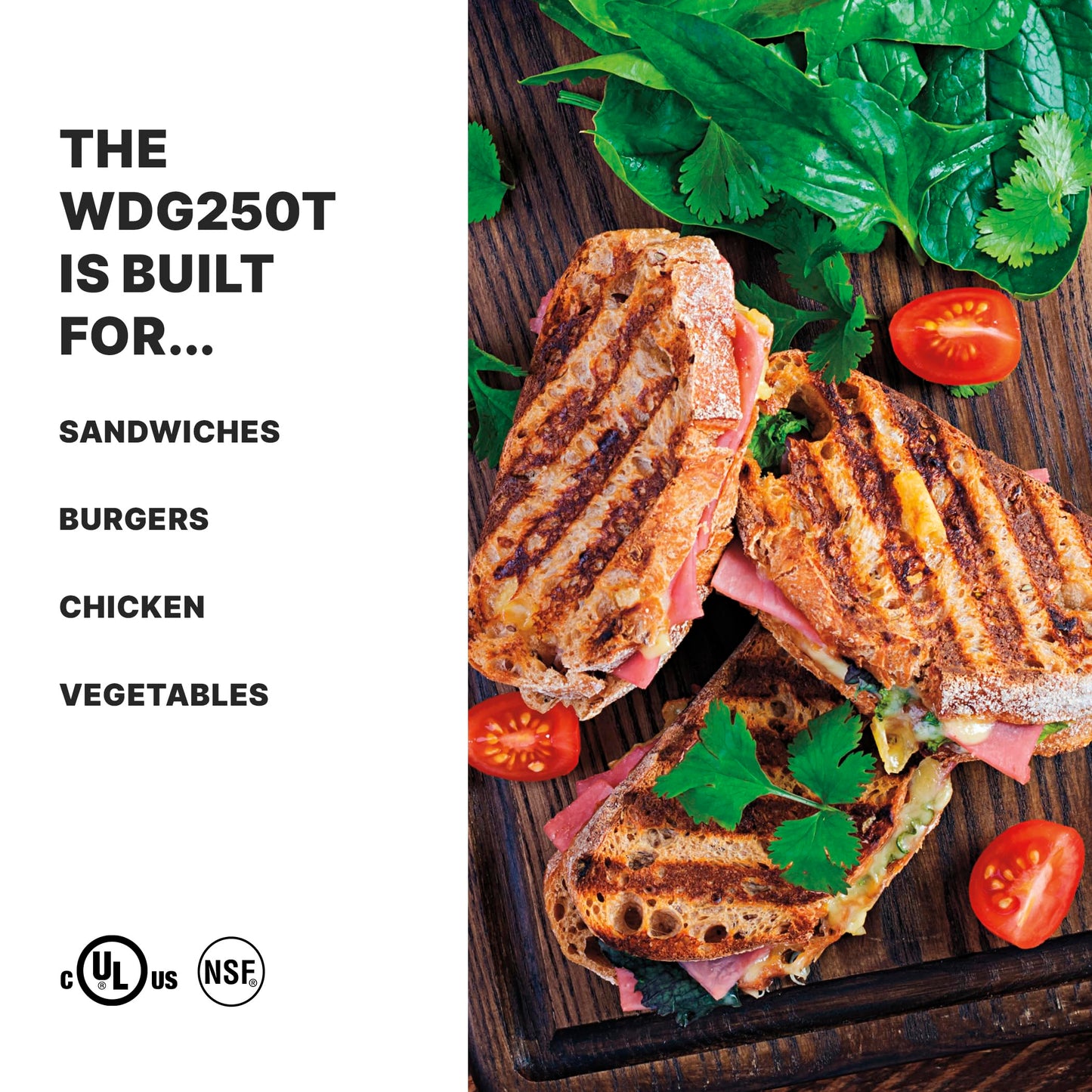 Waring Commercial WDG250T Tostato Supremo Ribbed Top Plate and Flat Bottom Plate Large Surface Panini Grill, With 20 Minute Timer, 120 V, 1800W, 5-15 Phase Plug