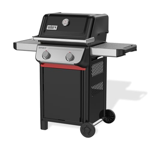 Weber Spirit E-210 Liquid Propane Gas Grill for Outdoor Cooking and BBQ, 2 Burners, Black – Porcelain-Enameled Cast-Iron Grates & Snap-Jet Ignition