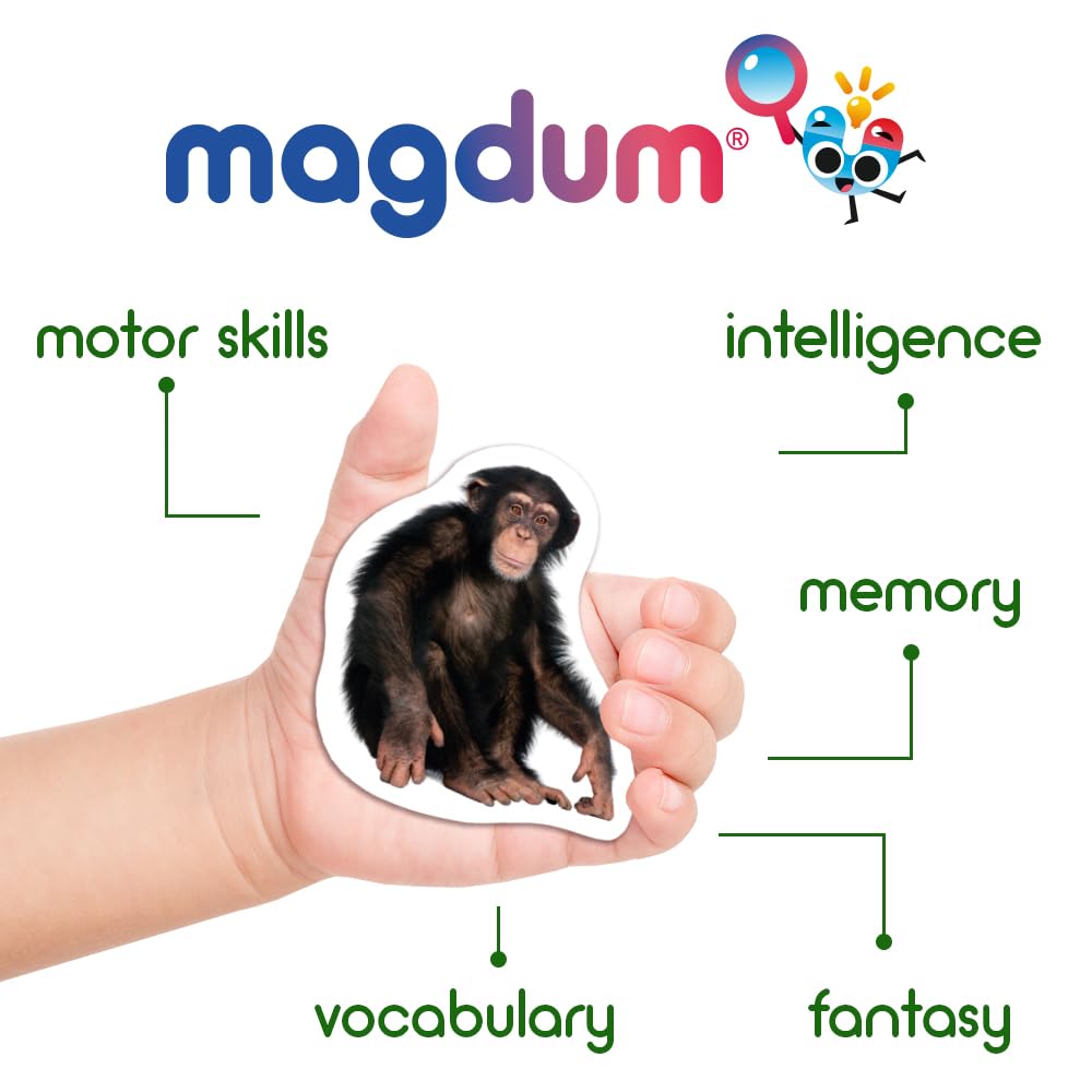 110 Fridge Magnet for Toddlers in Gift Tin Box Kids Magnets for Fridge - Realistic Magnetic Animals for Refrigerator - Safe Educational Materials for Baby: Zoo, Farm, Fruits, Vegetables, Transport