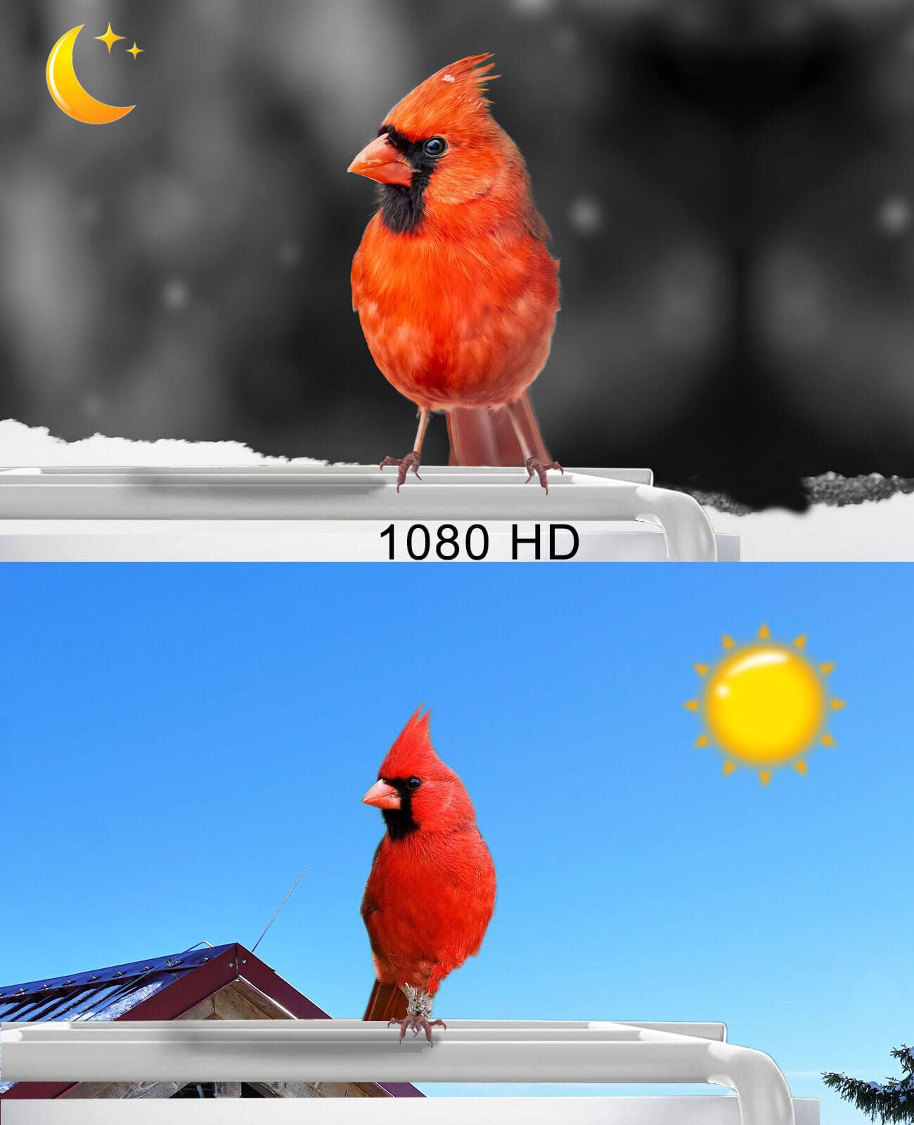 Smart Bird Feeder with Camera Wireless Outdoor, Feeders for Outside, Solar Energy Generation, 1080P HD, APP Connection, IP65 Waterproof, AI Identify Species, Free 64G TF Cards