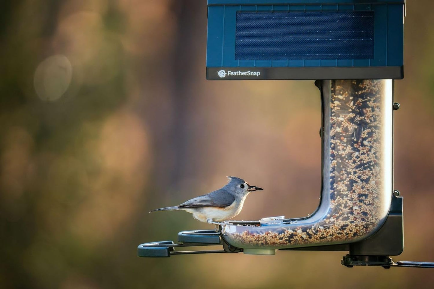 Feathersnap Smart Birdfeeder with AI Identification and Wi-Fi Solar Powered, Captures HD Pictures and Videos Sent Directly to Your Phone (Bird Feeder & Starter Kit)