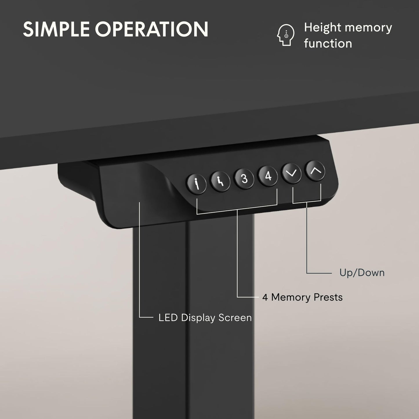 FLEXISPOT 63"x28" Large Dual Motor Electric Standing Desk, Black - 198 LBS Heavy-Duty Capacity, Ideal for Home Office, Creative Studio, or Multi-Monitor Setup