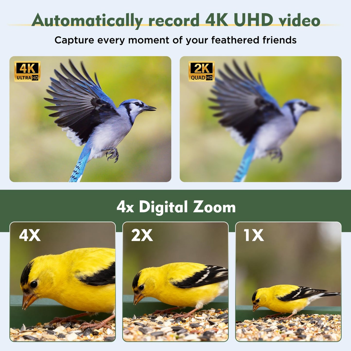 Hibird 4K HD Smart Bird Feeder Camera, 2.4G/5G Dual WiFi Wireless Outdoor, 6X Slow Motion Auto Bird Video Capture, Instant Notifications, AI Identify 10000+ Species for Everyone