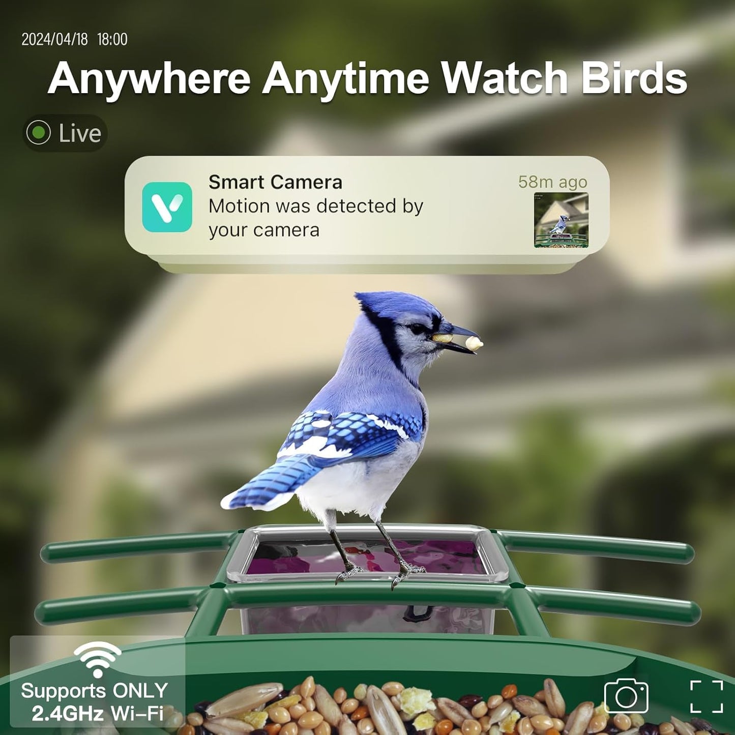 Bird Feeder with Camera Solar Powered : Smart Camera Bird Feeder 2K Live Feed Cam for Backyard - AI Identify Auto Capture Videos Pictures, Gifts for Birdlover Mom Dad, 2.4GHz WiFi