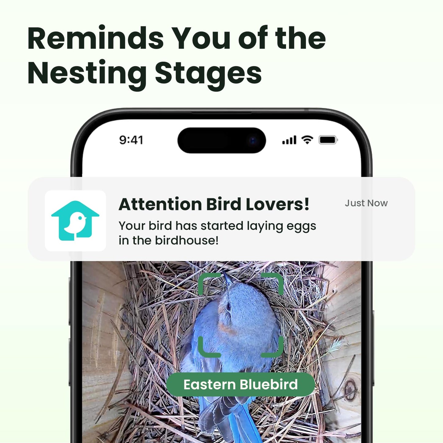 Birdfy Smart Bird House with Camera Solar Powered, 1080HD Live Video & Night Vision for 24/7 Nesting Recording, Auto Detect & Notify, Ideal Nature Gift for Bird Lovers, AI Identify Lifetime Free