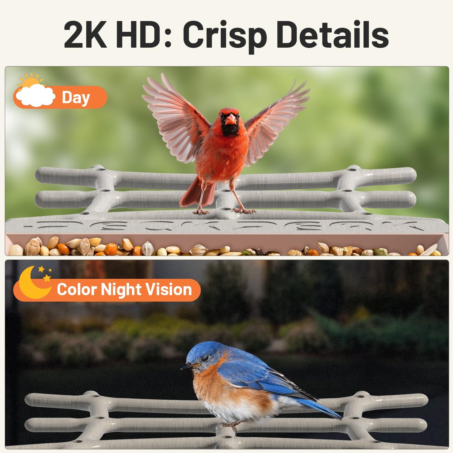 Smart Bird Feeder with Camera Solar Powered Outdoor - 2K HD Live Video, AI Bird ID (11,000+ Species), Squirrel-Proof, Instant Alerts & IP65 Weatherproof Outside, Great Gift for Birdlovers,Light Camel