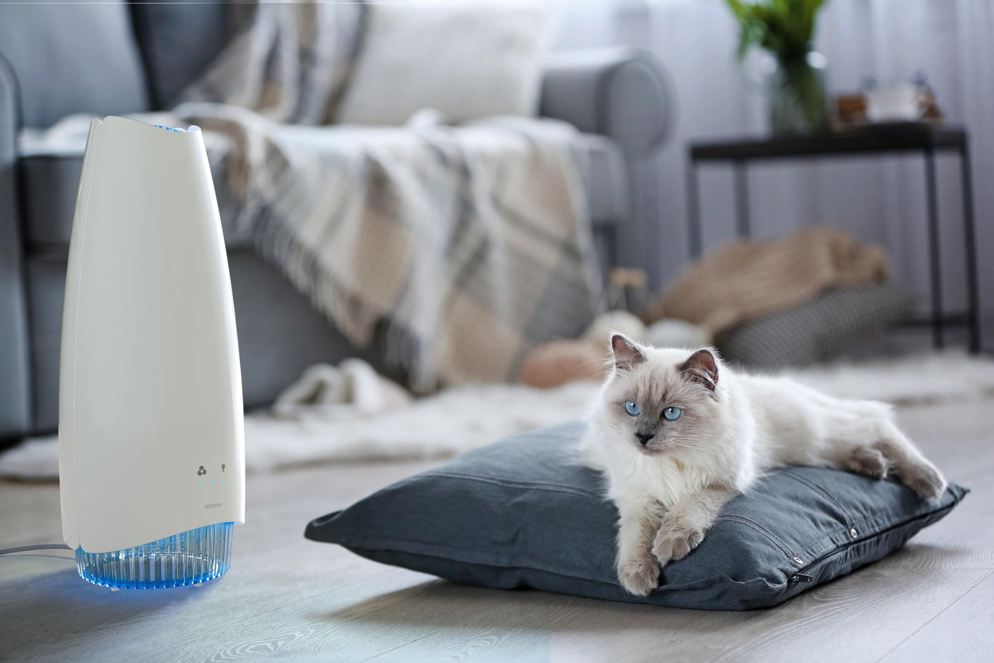 Airfree Elite Filterless Silent Room Air Purifier, No Maintenance, Destroys 99.99% Mold, Bacteria, Viruses, Activatable Capsules traps odors, smoke, area 750 sq ft (White)