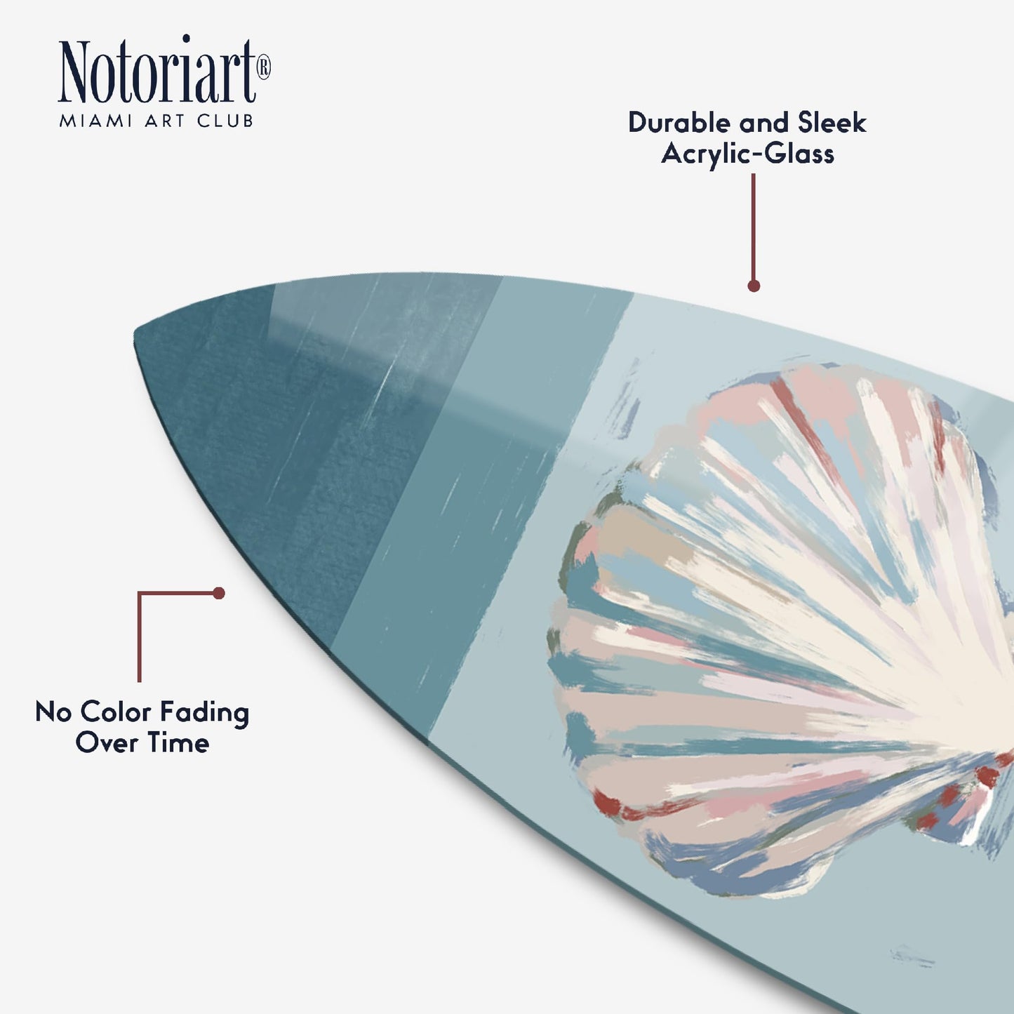 Notoriart Coastal Sea Shells Surfboard Acrylic Wall Art Die-Cut Coastal Modern High-Gloss Home Decor, 15" x 60"