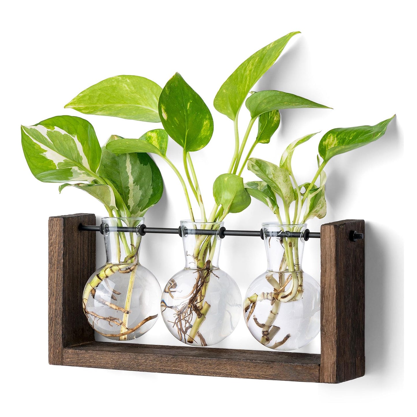 Mkono Plant Terrarium with Wooden Stand, Wall Hanging Glass Planter Desktop Plant Propagation Vase with Metal Swivel Retro Rack for Hydroponics Plants Home Office Decor (5 Bulb Vase)