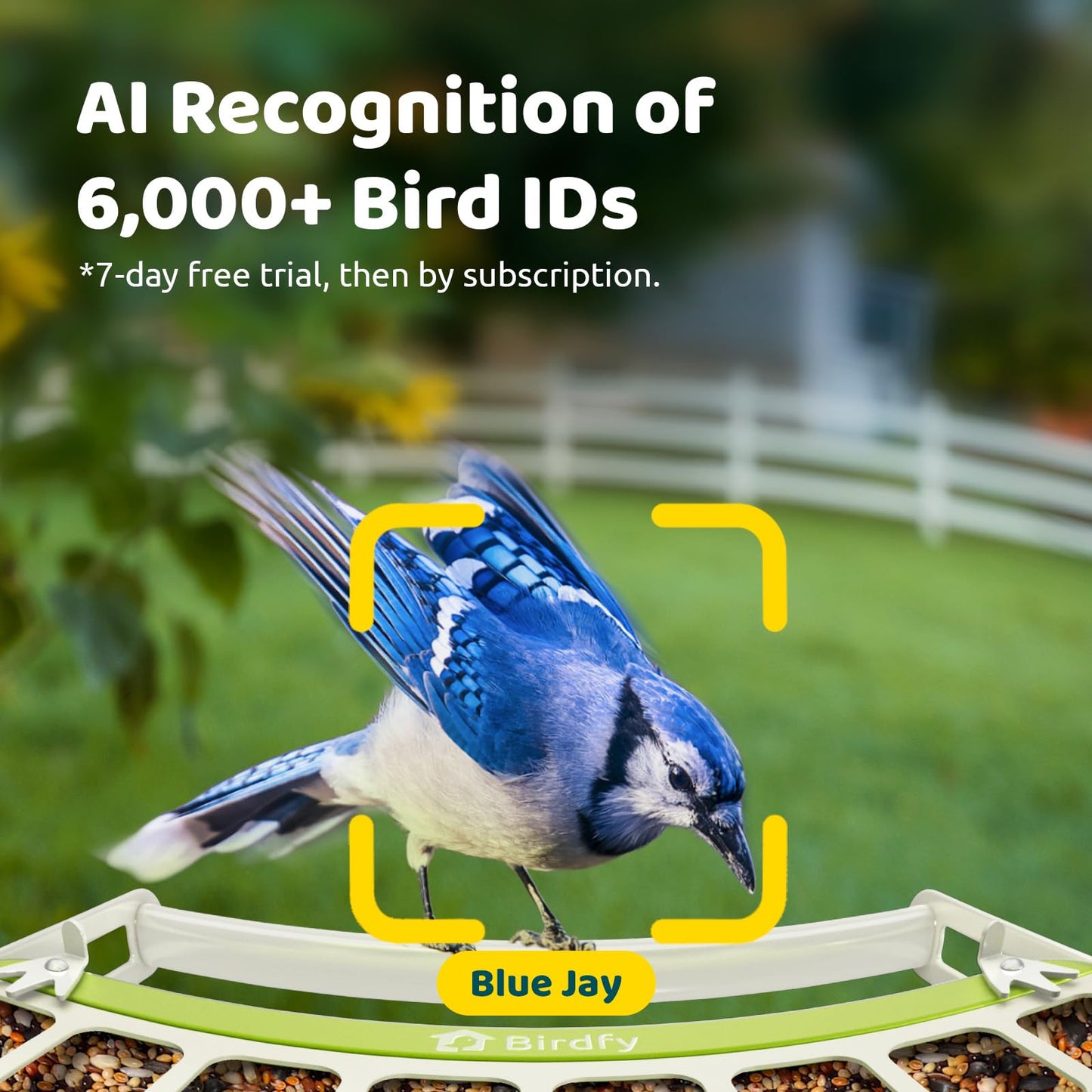 Birdfy Smart Bird Feeder with Camera, Durable Metal Bird Feeders for Outdoors, Auto-Detect & Record HD Videos, Instant Alerts & Live View, Solar Powered, Weatherproof for Backyard, Ideal Gift for Mom