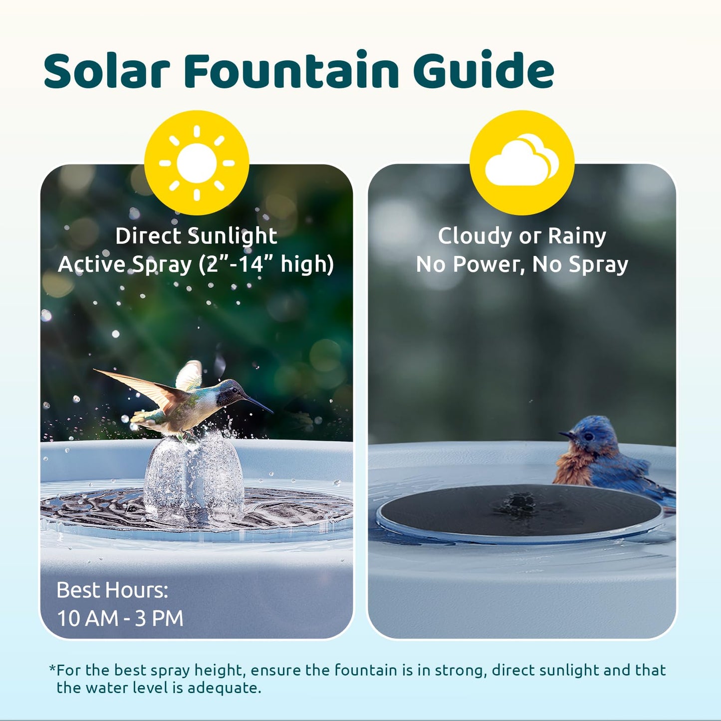 Birdfy Smart Bird Bath with Camera Solar Powered & Fountain, Dual-Lens Camera for Wildbird Watching, Auto Capture Bird Videos & Motion Detection - AI by Subscription (Blue)