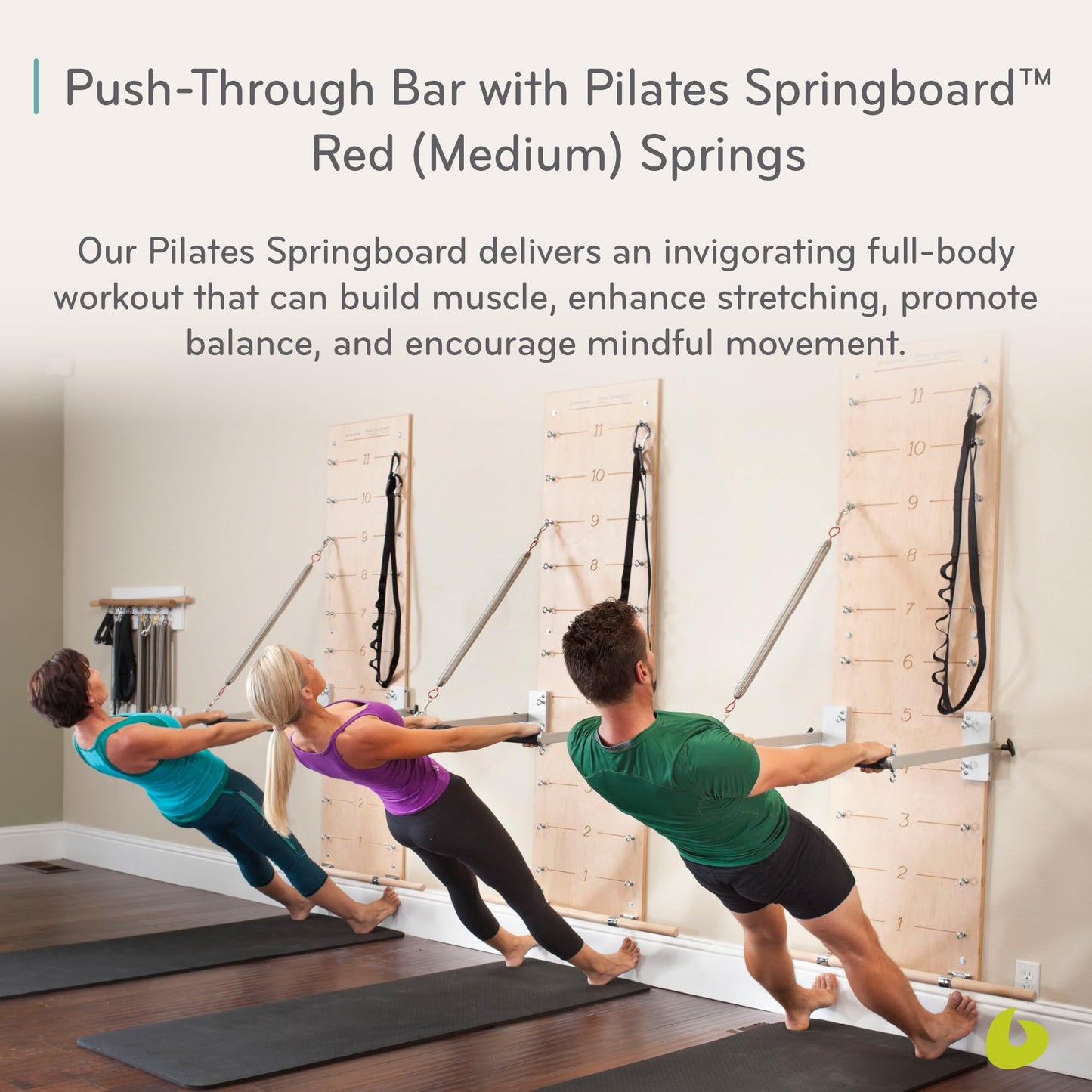 Balanced Body Pilates Springboard and Push-Through Bar, Wall-Mounted Pilates Workout Equipment for Home Gym or Studio Use, Pilates Exercise Equipment with Medium Resistance Springs