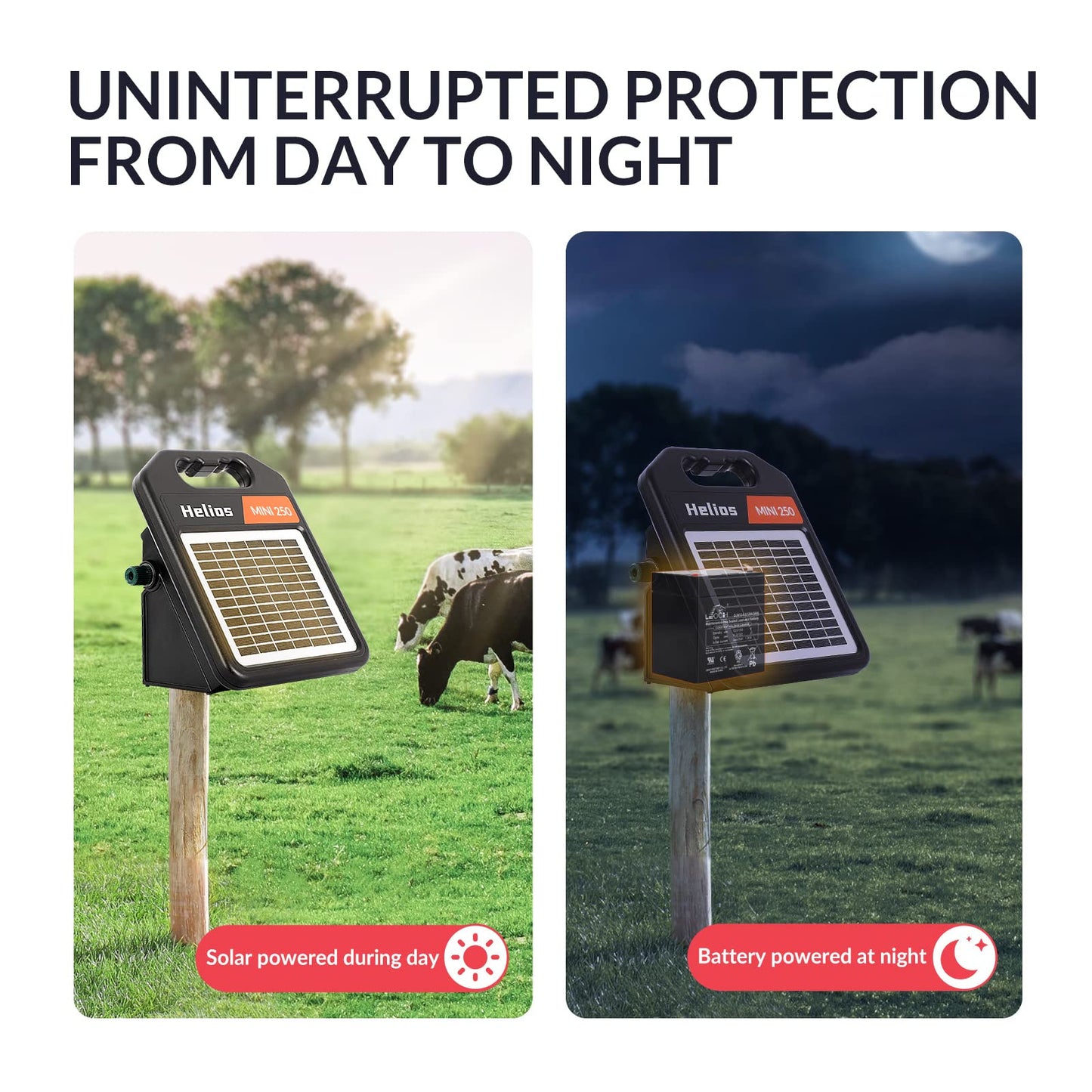 Solar Electric Fence Set: S600 + MINI250 Solar Electric Fence Charger, 0.53Joule & 0.18Joule for Versatile Protection