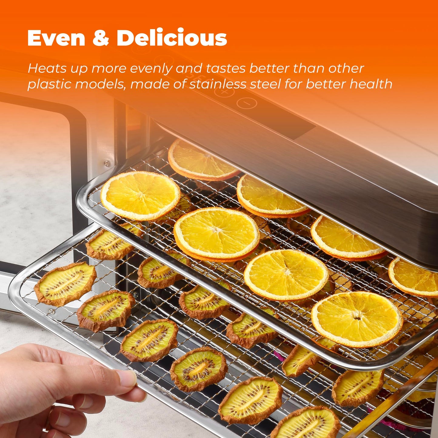 Stainless Steel Food Dehydrator, 700W, with Large 6 Trays (6.5 ft²) Drying Space, Digital Temp 86–167°F & 48H Timer, Dishwasher-Safe 18/8 Trays, for Jerky, Fruit, Herbs & Dog Treats