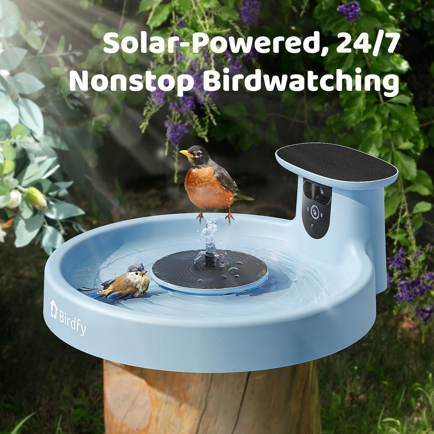 Birdfy Smart Bird Bath with Camera Solar Powered & Fountain, Dual-Lens Camera for Wildbird Watching, Auto Capture Bird Videos & Motion Detection - AI by Subscription (Blue)