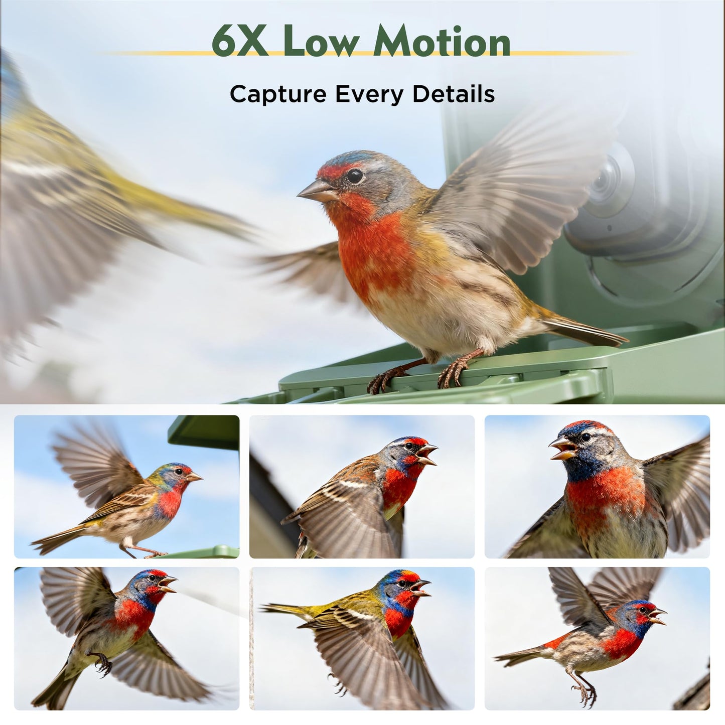 Hibird 4K HD Smart Bird Feeder Camera, 2.4G/5G Dual WiFi Wireless Outdoor, 6X Slow Motion Auto Bird Video Capture, Instant Notifications, AI Identify 10000+ Species for Everyone