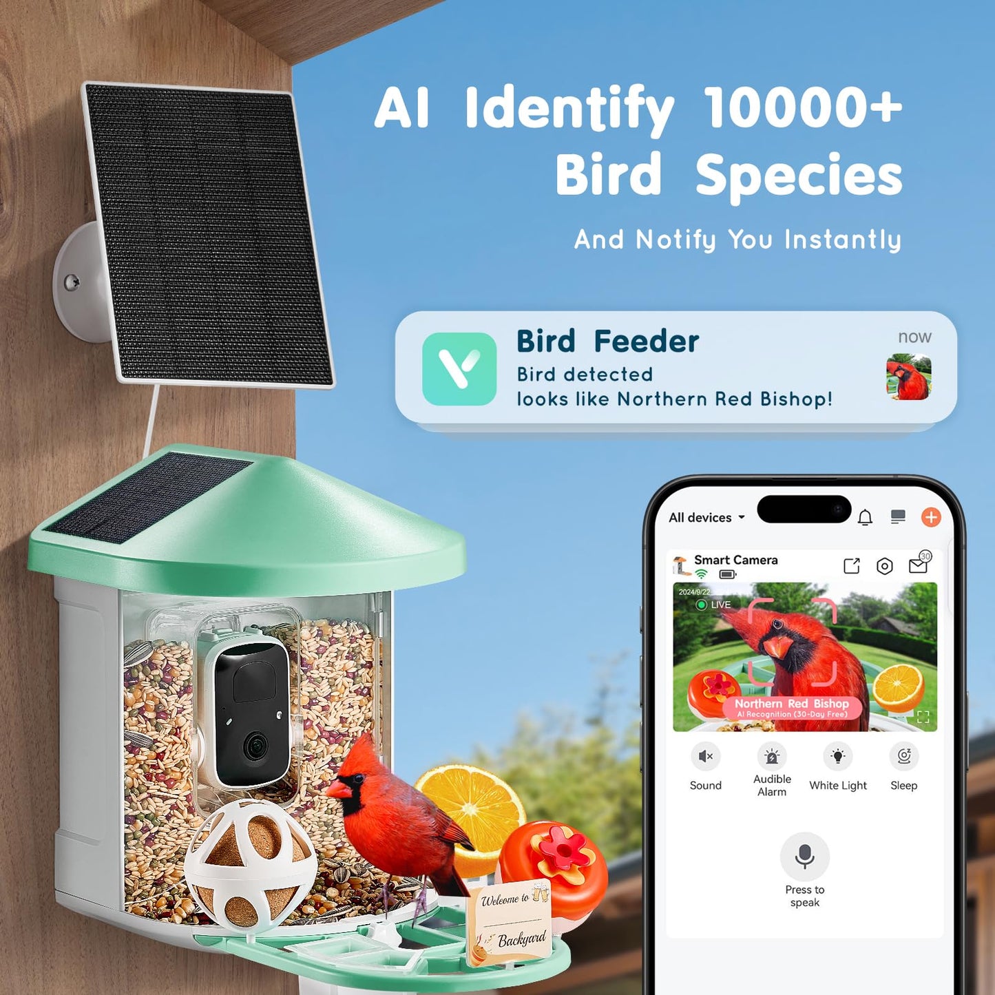 Happybuy Smart Bird Feeder with Camera,2K HD AI Identify 10000+ Bird Species,Solar-Powered Bird Watching Camera with Auto Capture & Instant Notify,Wireless Outdoor Gift for Bird Lover (3 Solar Panels)