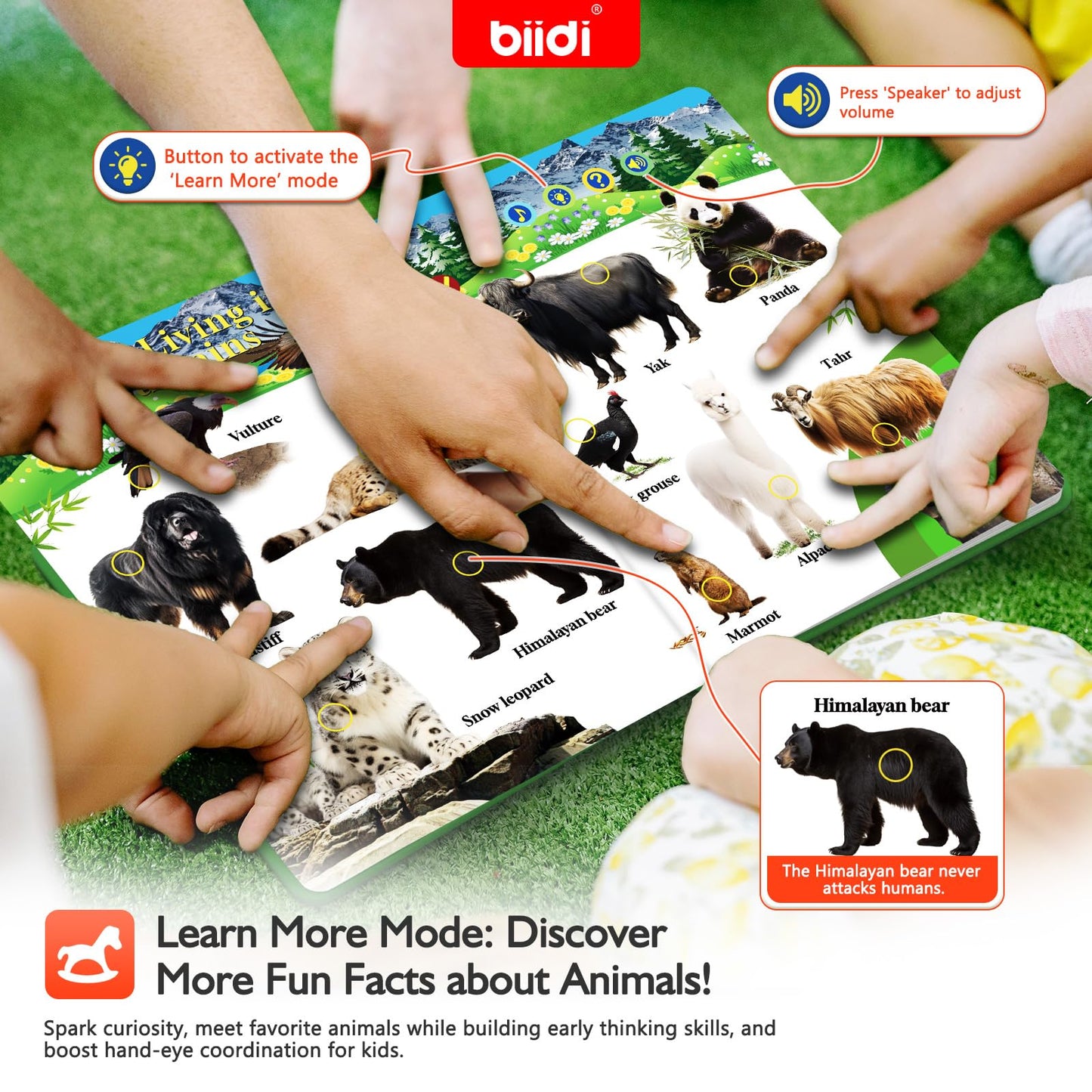 English Interactive Sound Book for Toddler3-5,Talking Activity Book,Educational Learning Toys for Boys Girls, Birthday Gifts for Kid Age 3 4 5 6 Year Old,Sensory Autism Toys,171 Animal,600+Sounds