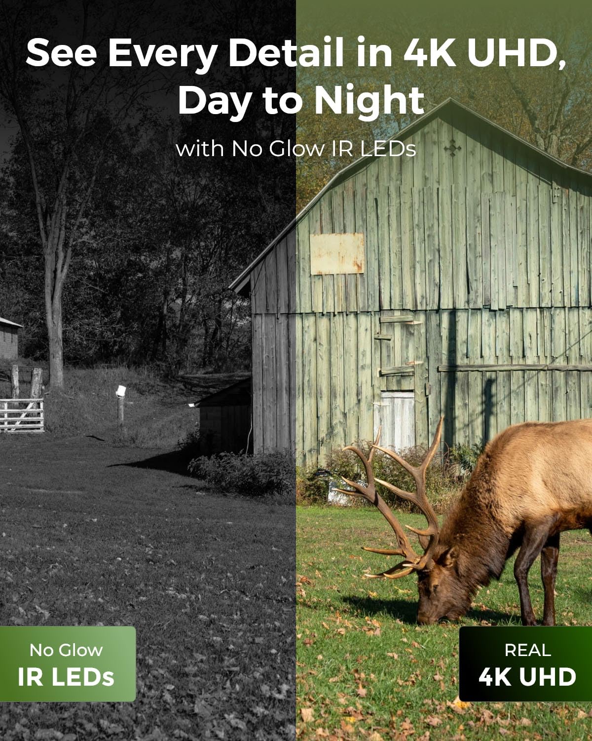 REOLINK 4K Cellular Trail Camera, 3G/4G LTE, 360° 4K HD Full View, 32GB SD+SIM Card Included, Animal Recognition, No-Glow IR, Smart Motion Activated, Go Ranger PT+Solar Panel, Updated Version