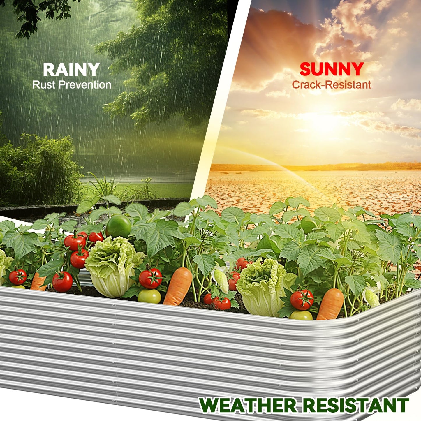 CATMANOR 2 Pack Tall 8x3FT Corrugated Galvanized Steel Raised Garden Bed Outdoor, Metal Above Ground Garden Bed for Vegetables and Flowers, Raised Beds for Gardening-8x3x1.5FT