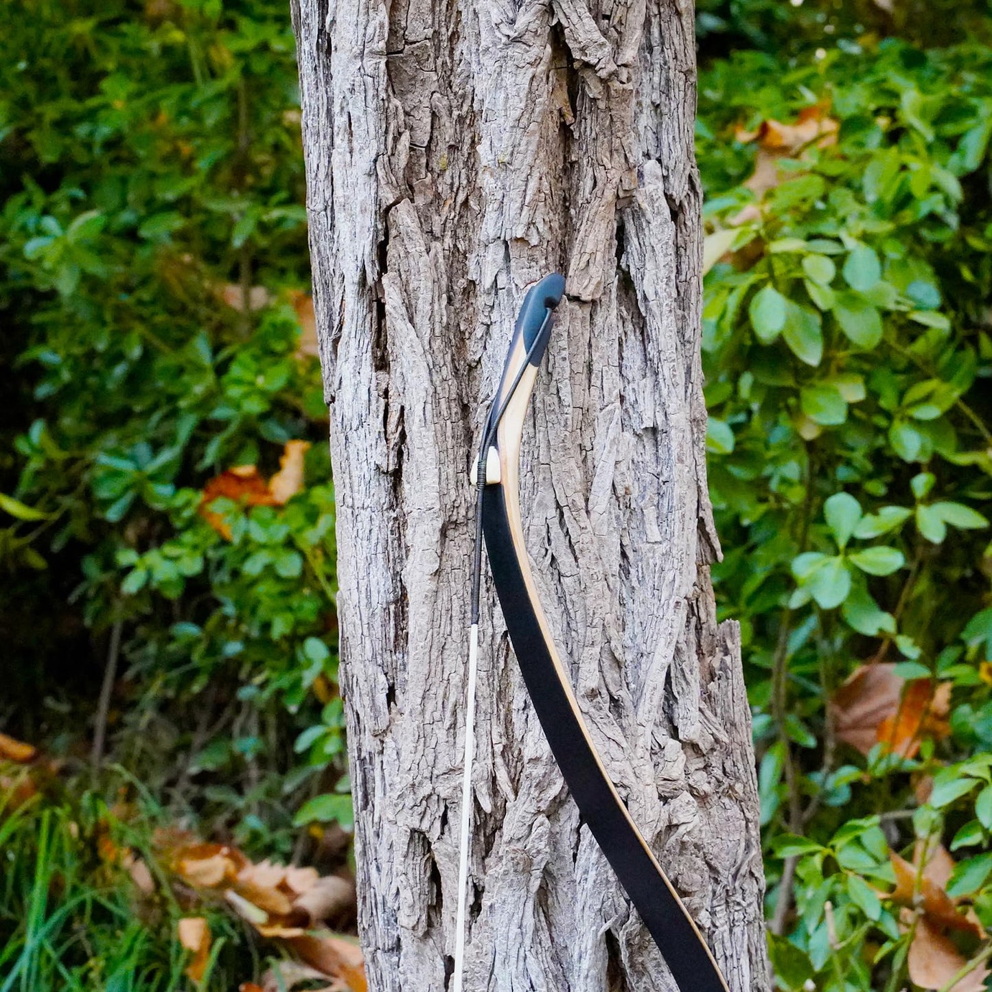 AF Archery Turkish Recurve Bow, 50" High-Performance Traditional Laminated Hunting Horse Bow for Adults Youth Beginners Enthusiasts and Hunting (Black Turkish, 50LBS)