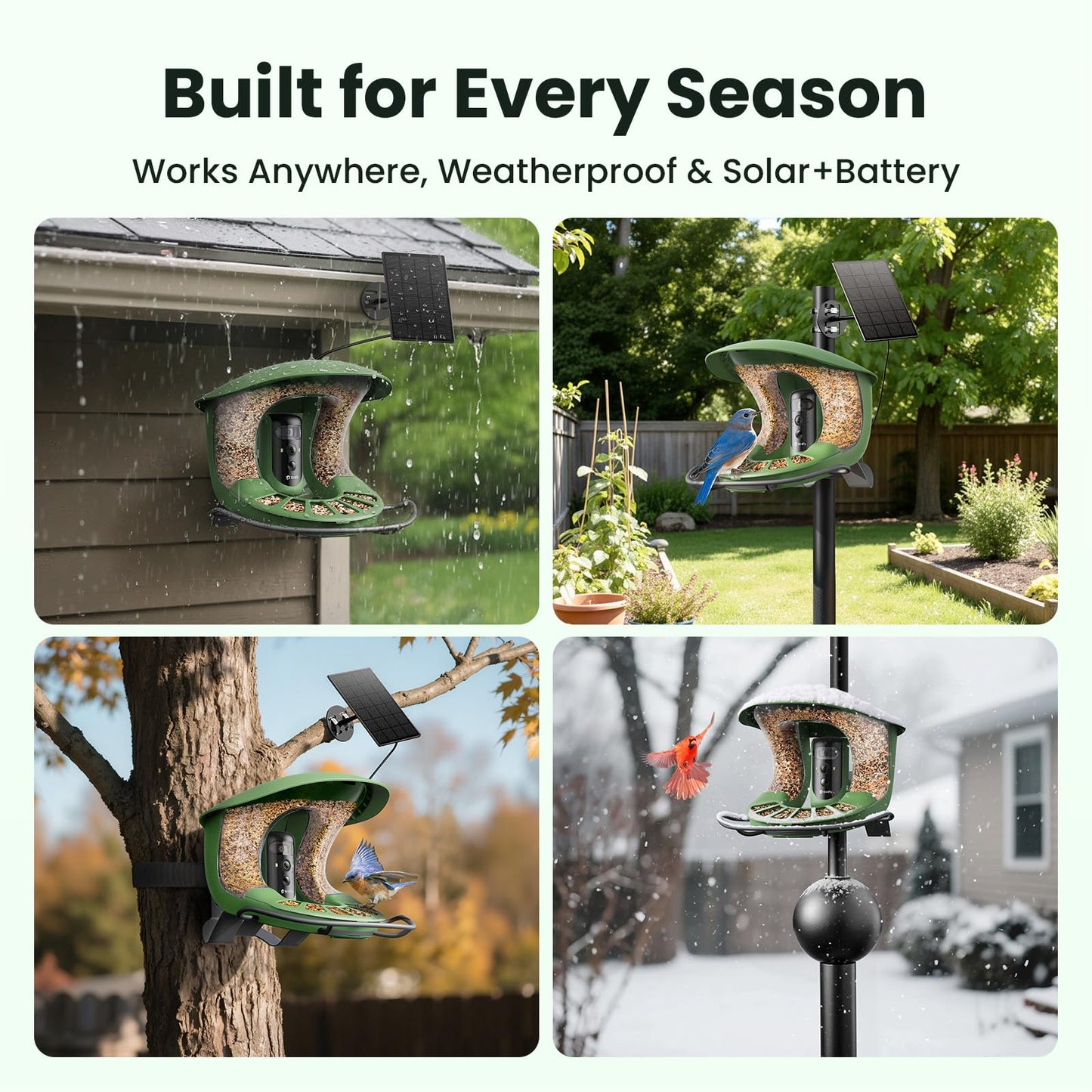 Birdfy 2 Smart Bird Feeder with Camera, Dual-Lens (2K+1080P) Camera for Live Streaming & Close-Up Photos, AI Identifies Bird Species, Solar-Powered Backyard Birdwatching Gift