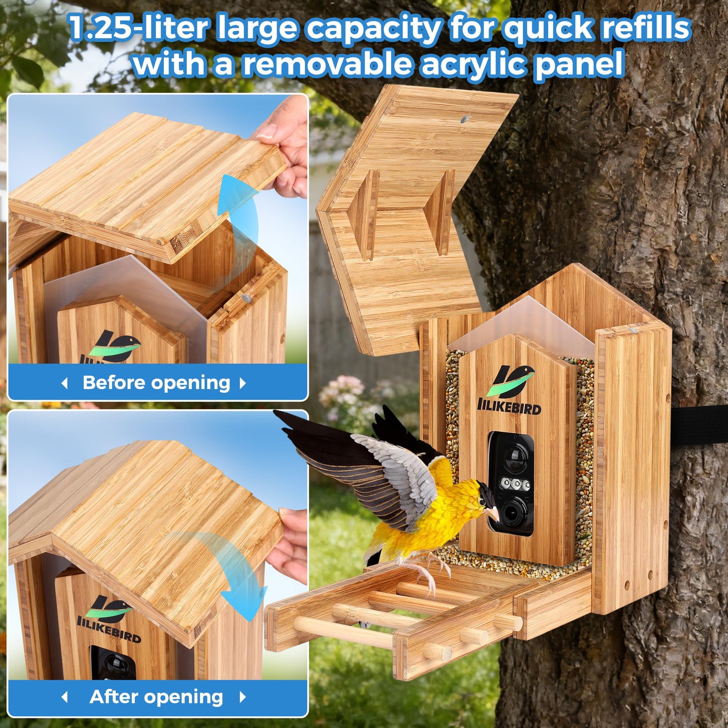 IILIKEBIRD Smart Bird Feeder with 4K Camera, 10000+ AI Bird Identification, Solar & USB-C Charging, IP65 Weatherproof, Wall/Pole Mount Small Bird Feeder for Outdoor Gardenf