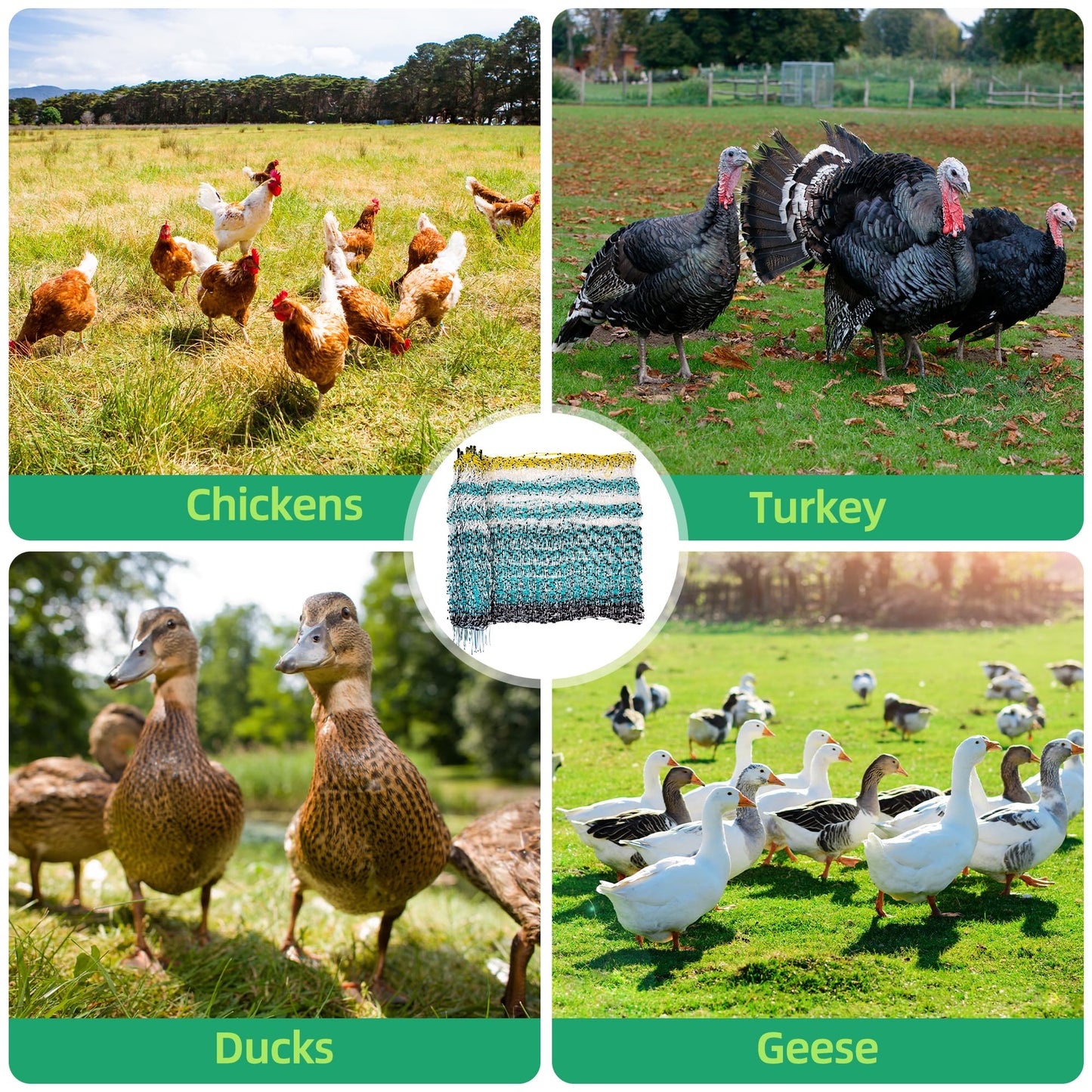 OULUU Poultry Netting Electric Fence - 41.5" H x 164' L, Portable Livestock Nets Mesh for Chickens, Ducks, Geese, Turkey, Electric Fencing for Backyards, Homesteaders, Farms, Ranches, Gardens